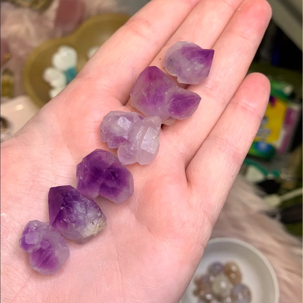 Amethyst flowers